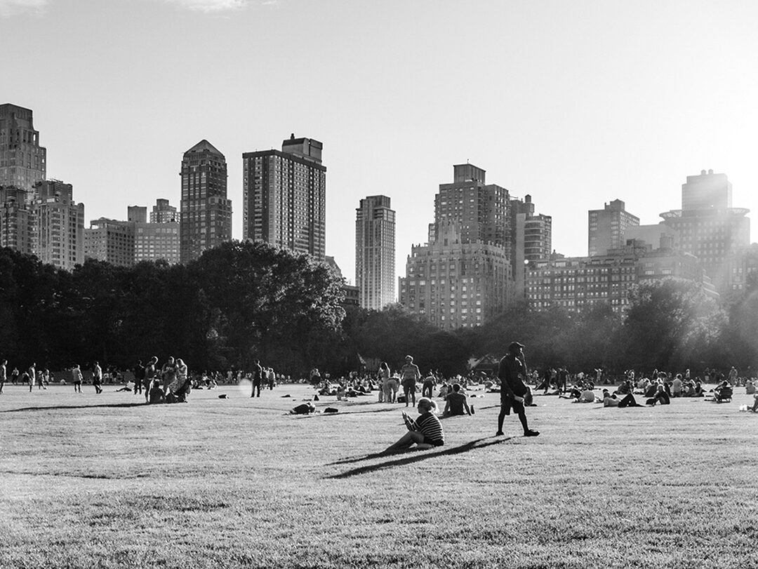 People enjoying a sunny day in Central Park, Manhattan skyline in background