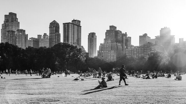 People enjoying a sunny day in Central Park, Manhattan skyline in background